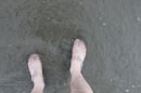 plage du Touquet à Berck